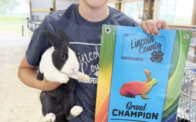 Beresford 4-Hers exhibit at Lincoln County Fair despite storm
