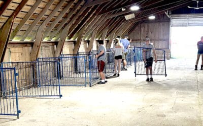 95th annual Union County Fair begins next week